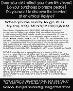 Mentor Program Flyer