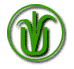 The International Vegetarian Union